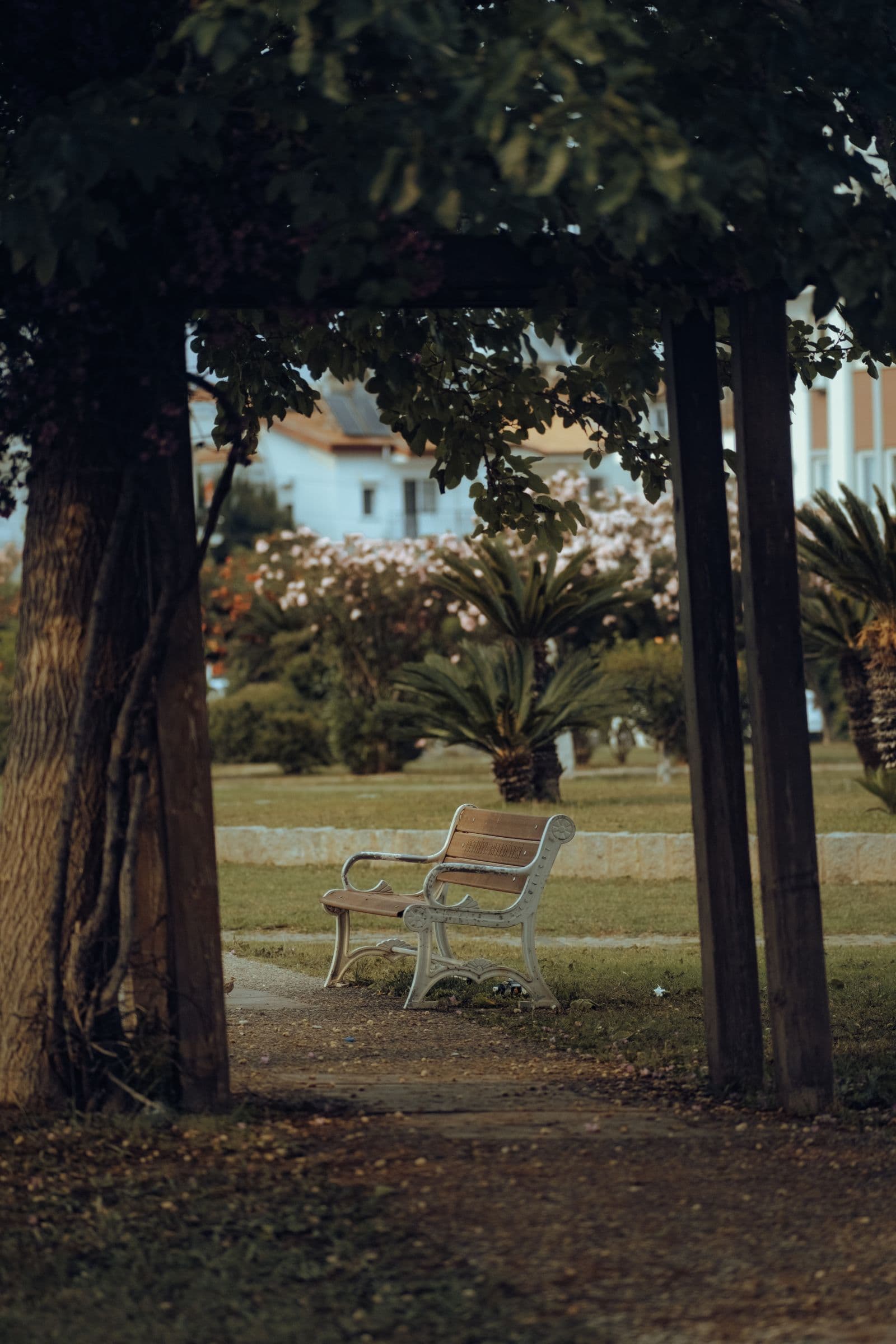 An empty park bench seen through a garden arch